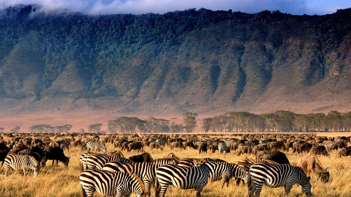 Ngorongoro Conservation Area