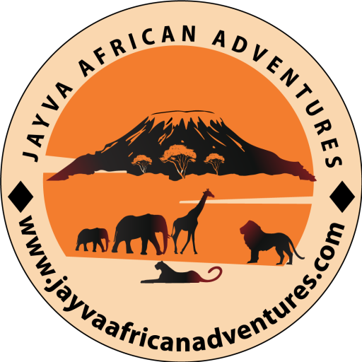 Jayva African Adventures Logo